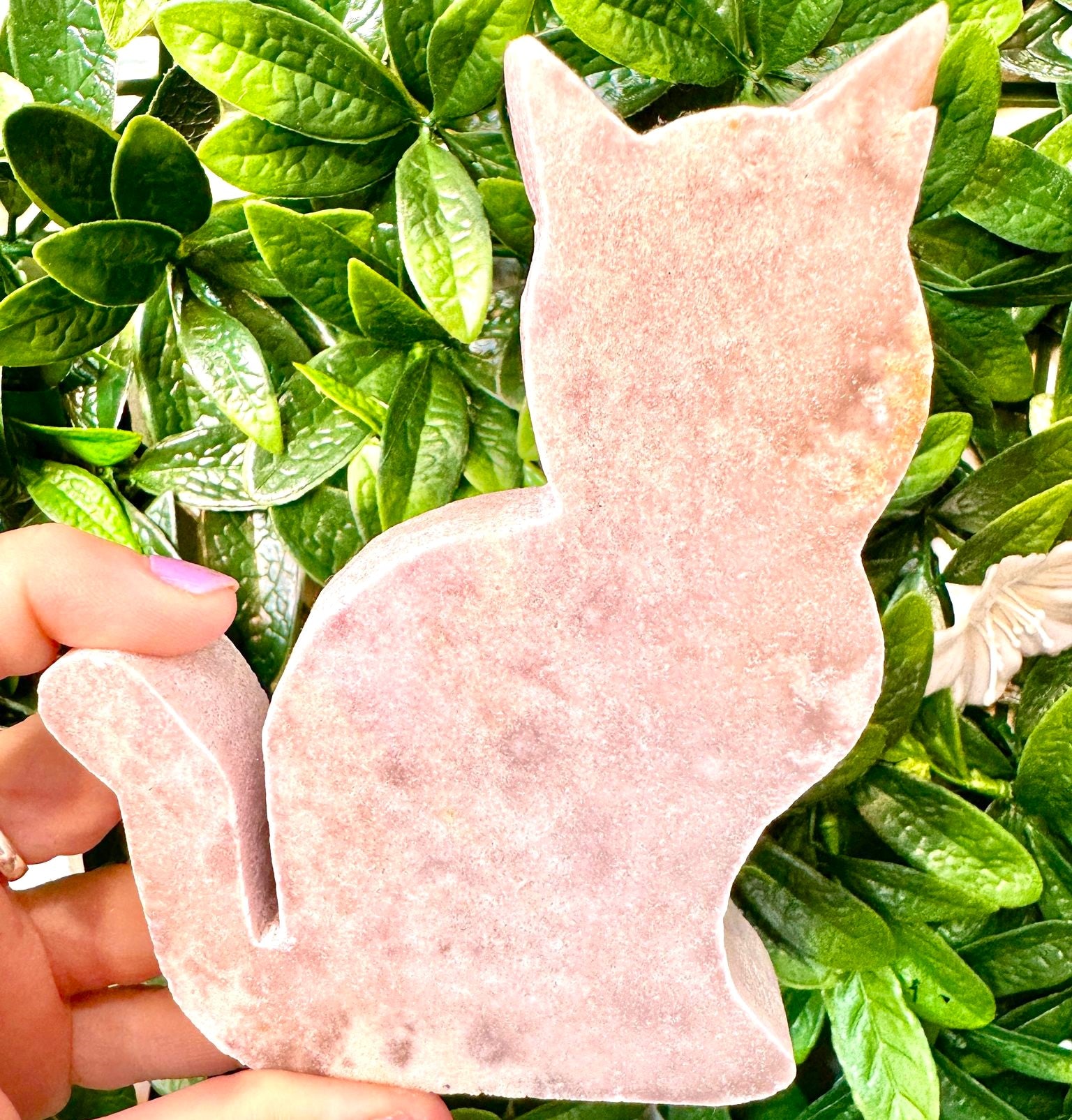 Pink Amethyst Pussy Cats