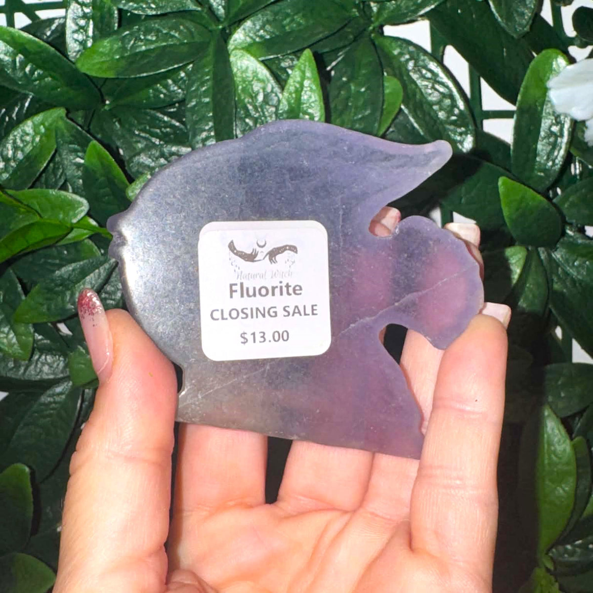 Fluorite Fish