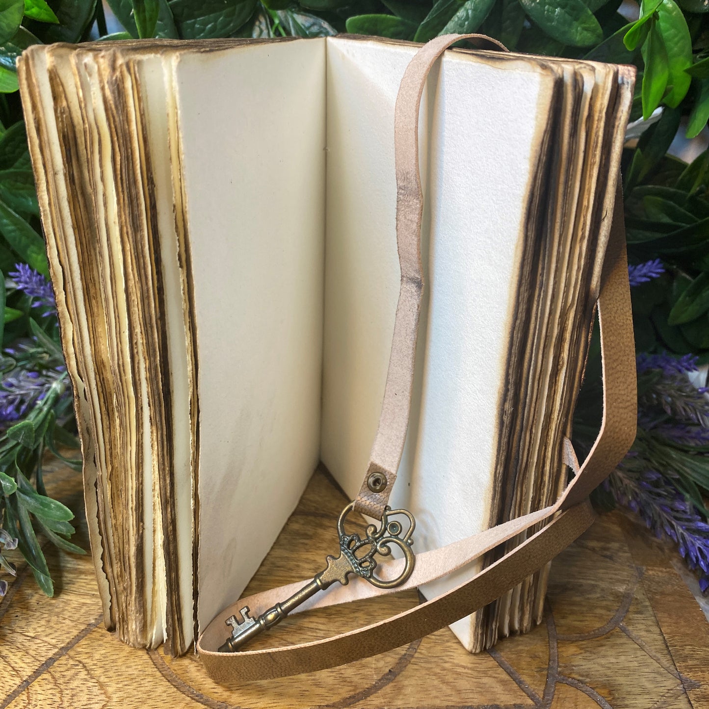 Skull Snake Witch Journal