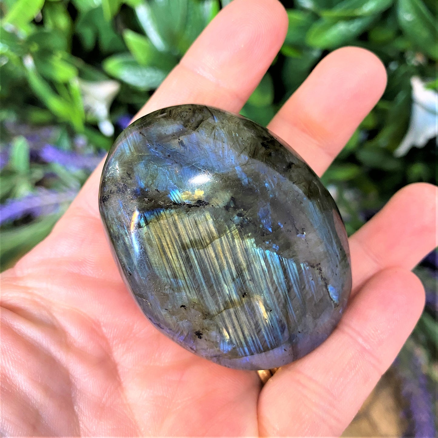 Labradorite Palmstones