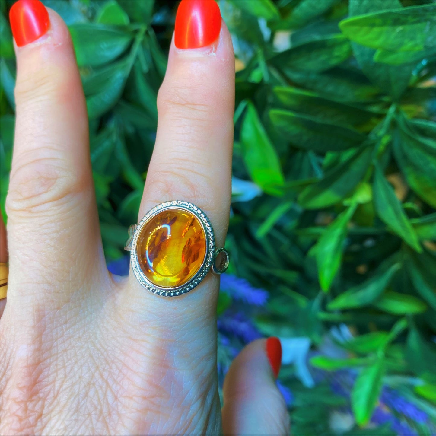 Amber Rings