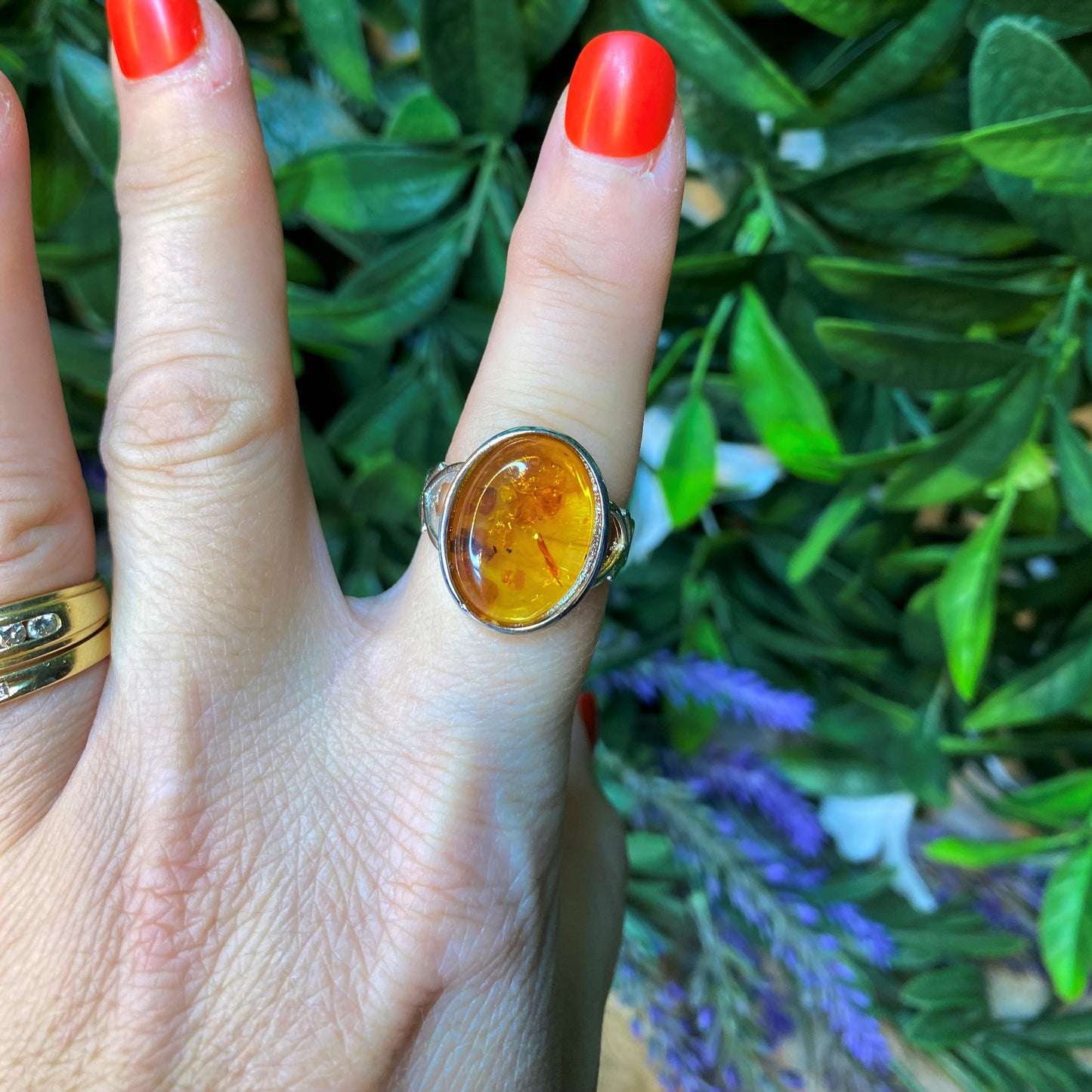 Amber Rings
