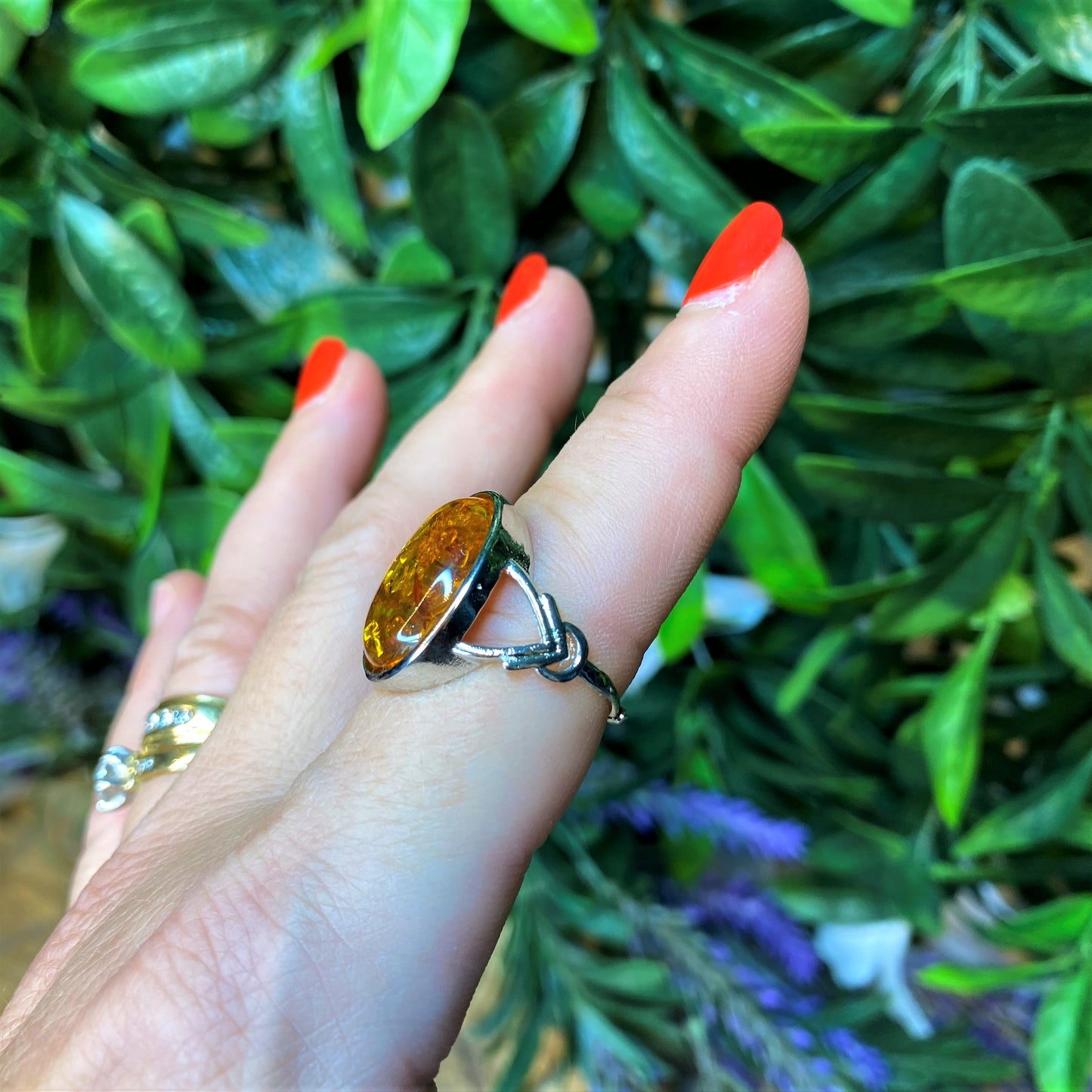 Amber Rings
