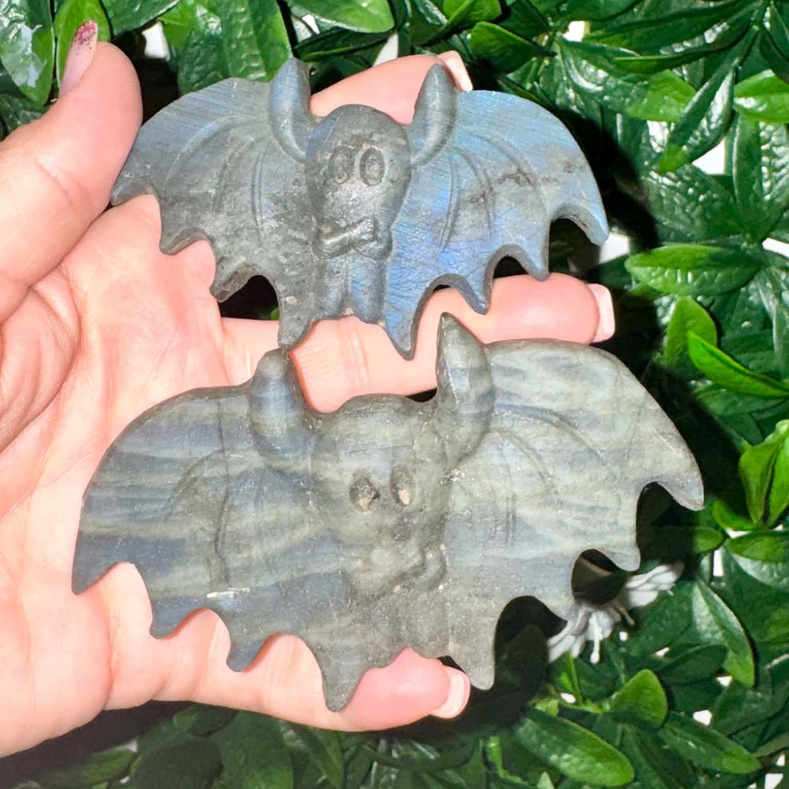 Labradorite Bat