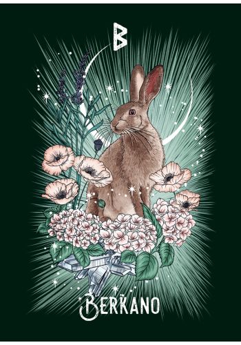 The Witch’s Familiar Runic Oracle ~ Pocket Size