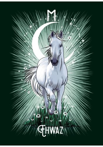 The Witch’s Familiar Runic Oracle ~ Pocket Size