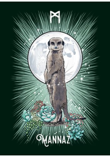 The Witch’s Familiar Runic Oracle ~ Pocket Size