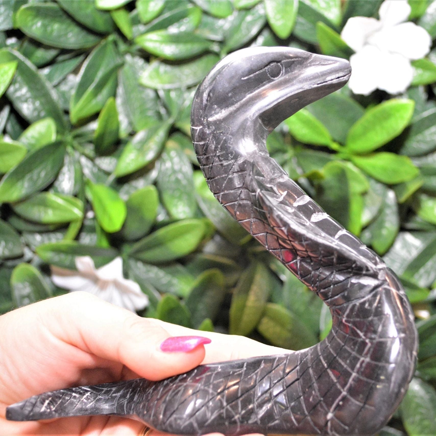 Black Jade Snake