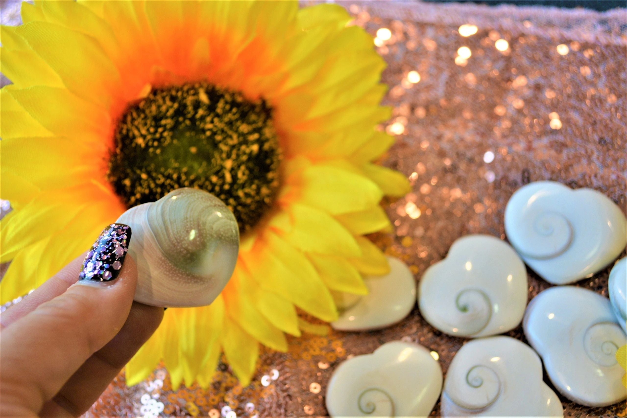 Shiva Eye Shell Heart