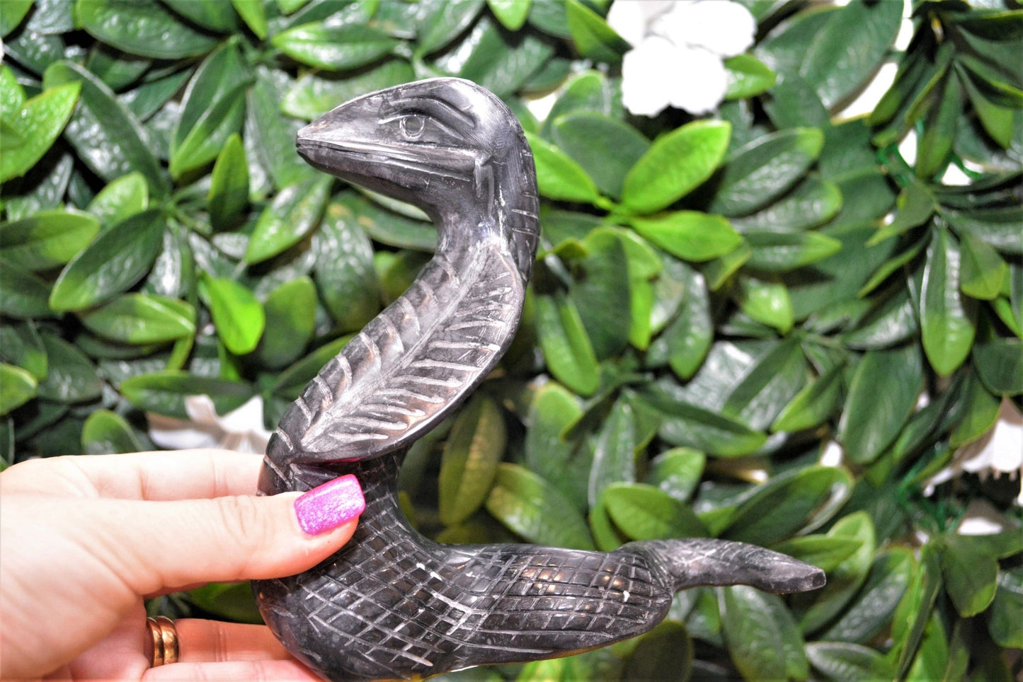 Black Jade Snake