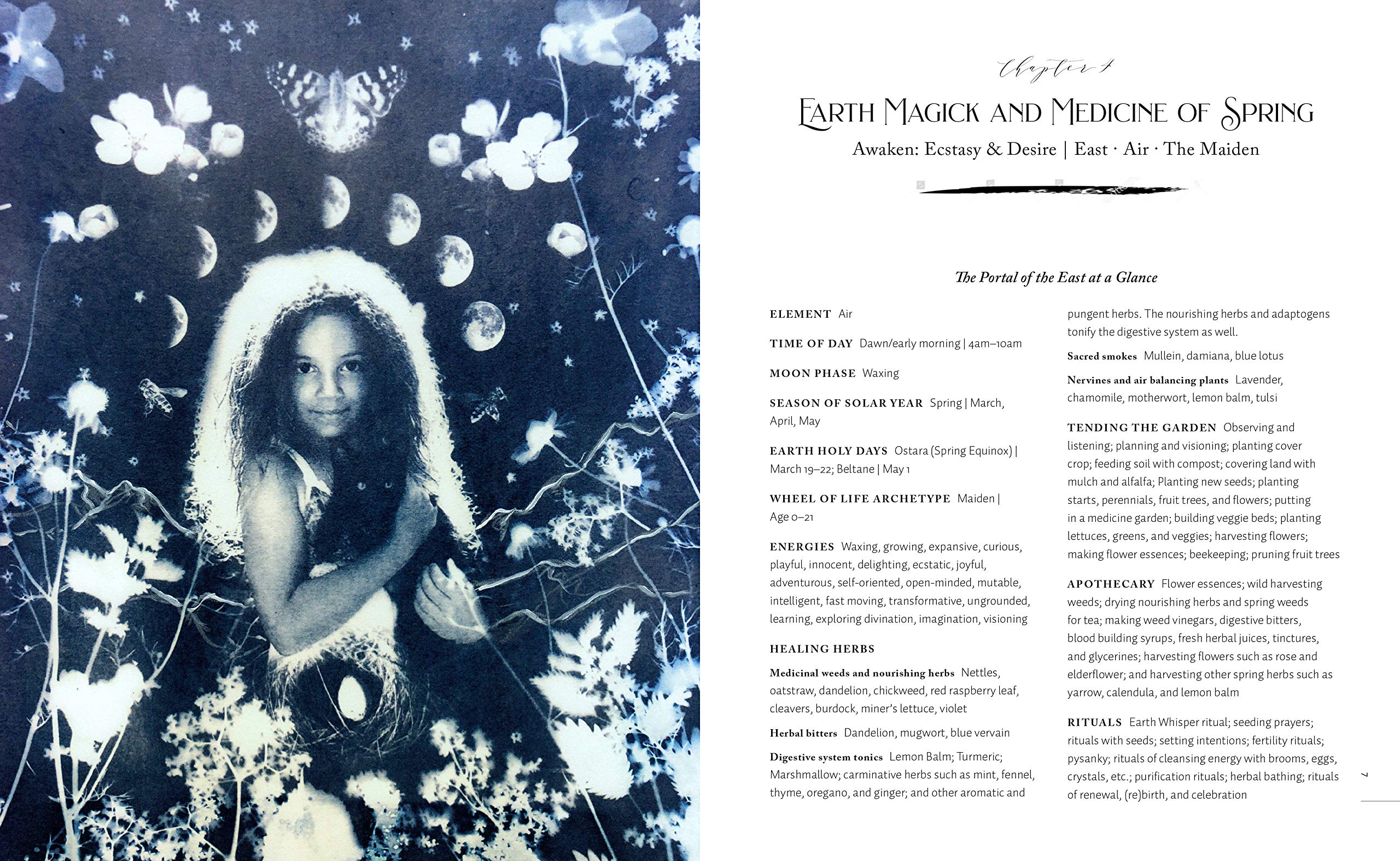 The Witch's Herbal Apothecary Rituals & Recipes for a Year of Earth Magick and Sacred Medicine Making