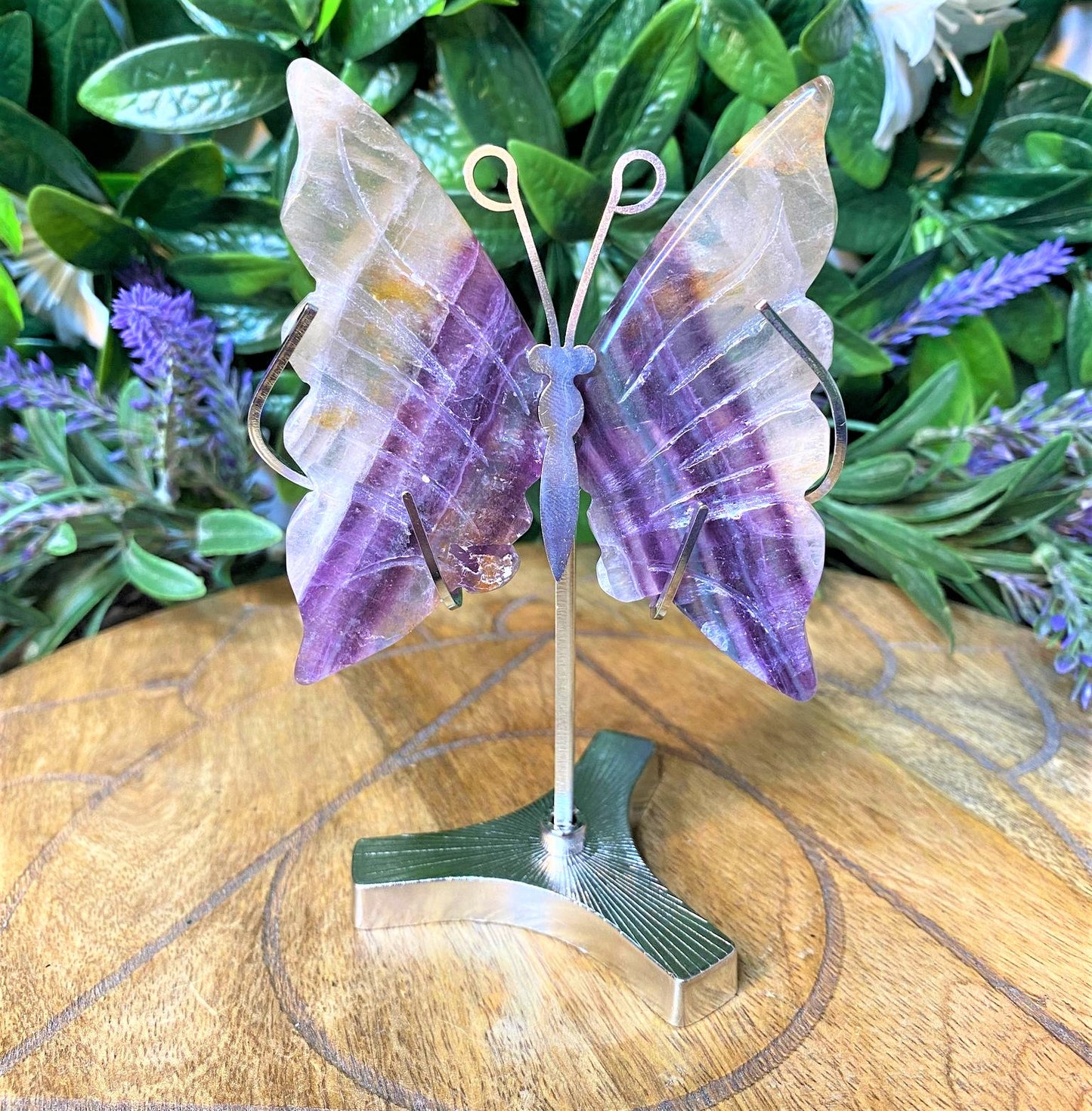 Fluorite Butterfly Wings