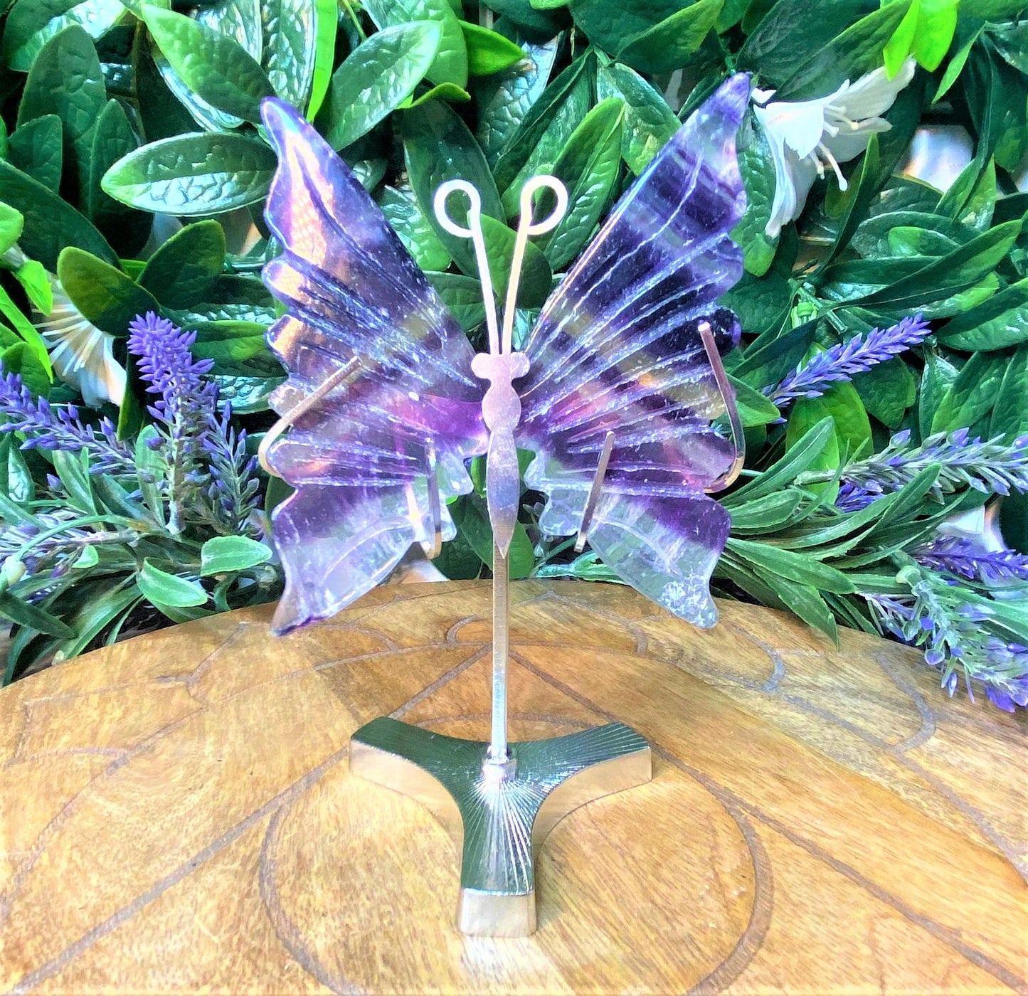 Fluorite Butterfly Wings