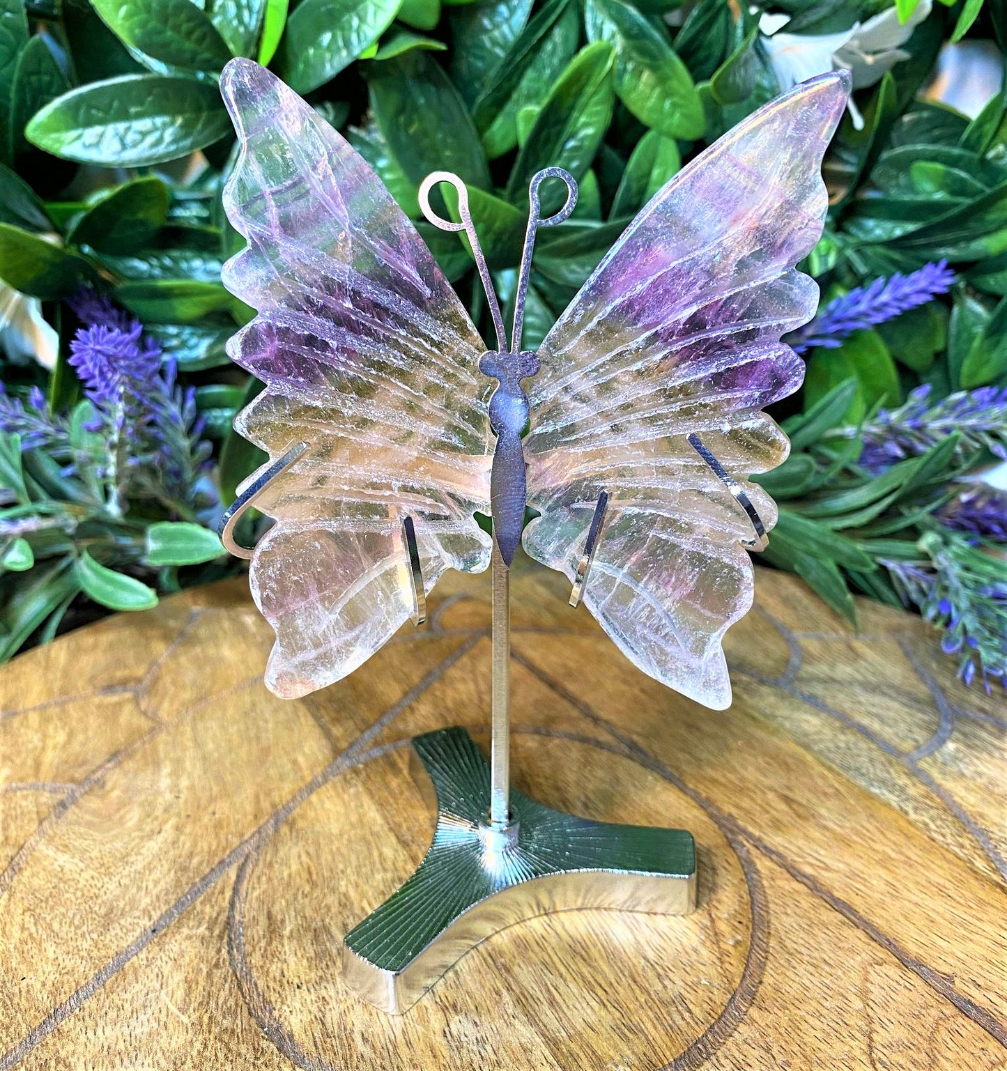 Fluorite Butterfly Wings