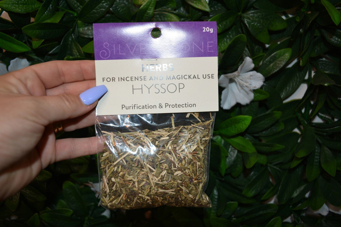 Herbs HYSSOP 20g packet
