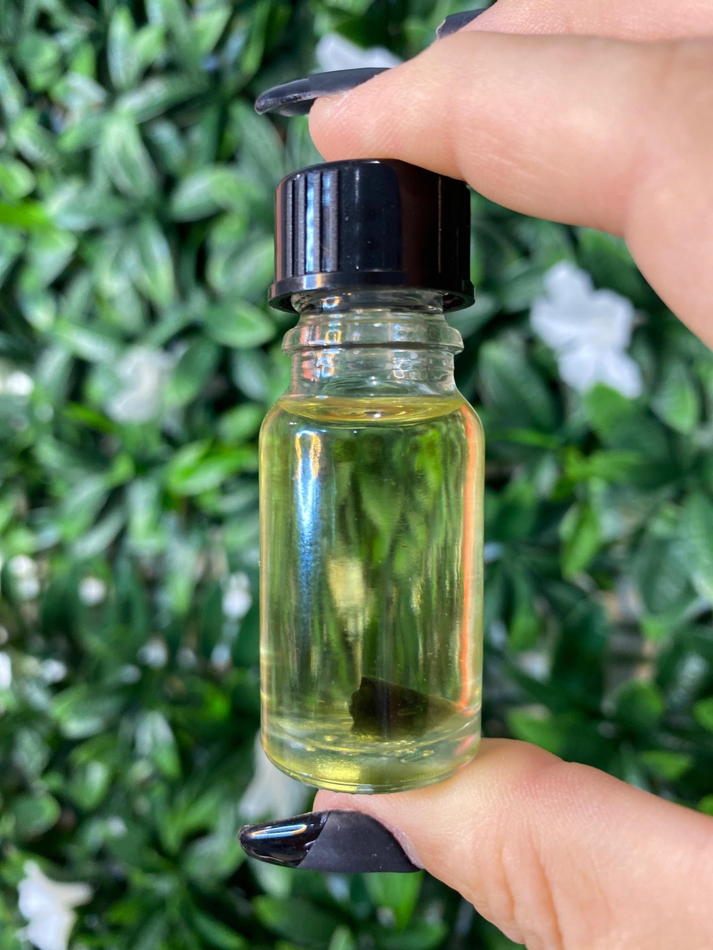 Moldavite Oil with a Moldavite specimen