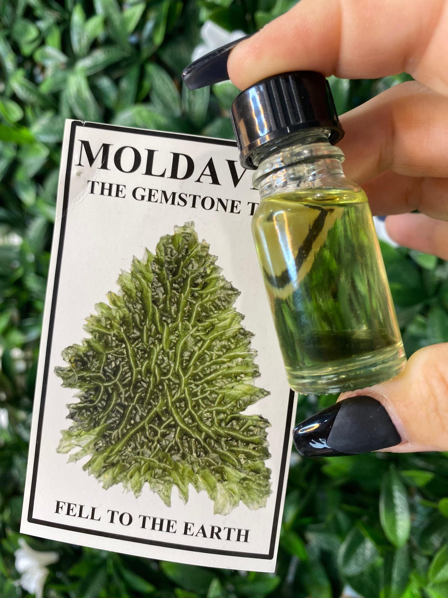 Moldavite Oil with a Moldavite specimen