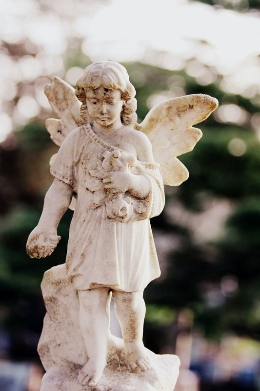 7 Steps To Connect With Your Angel Guides