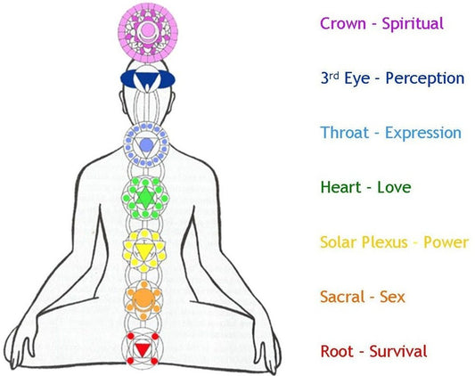 Intro To The Seven Chakras