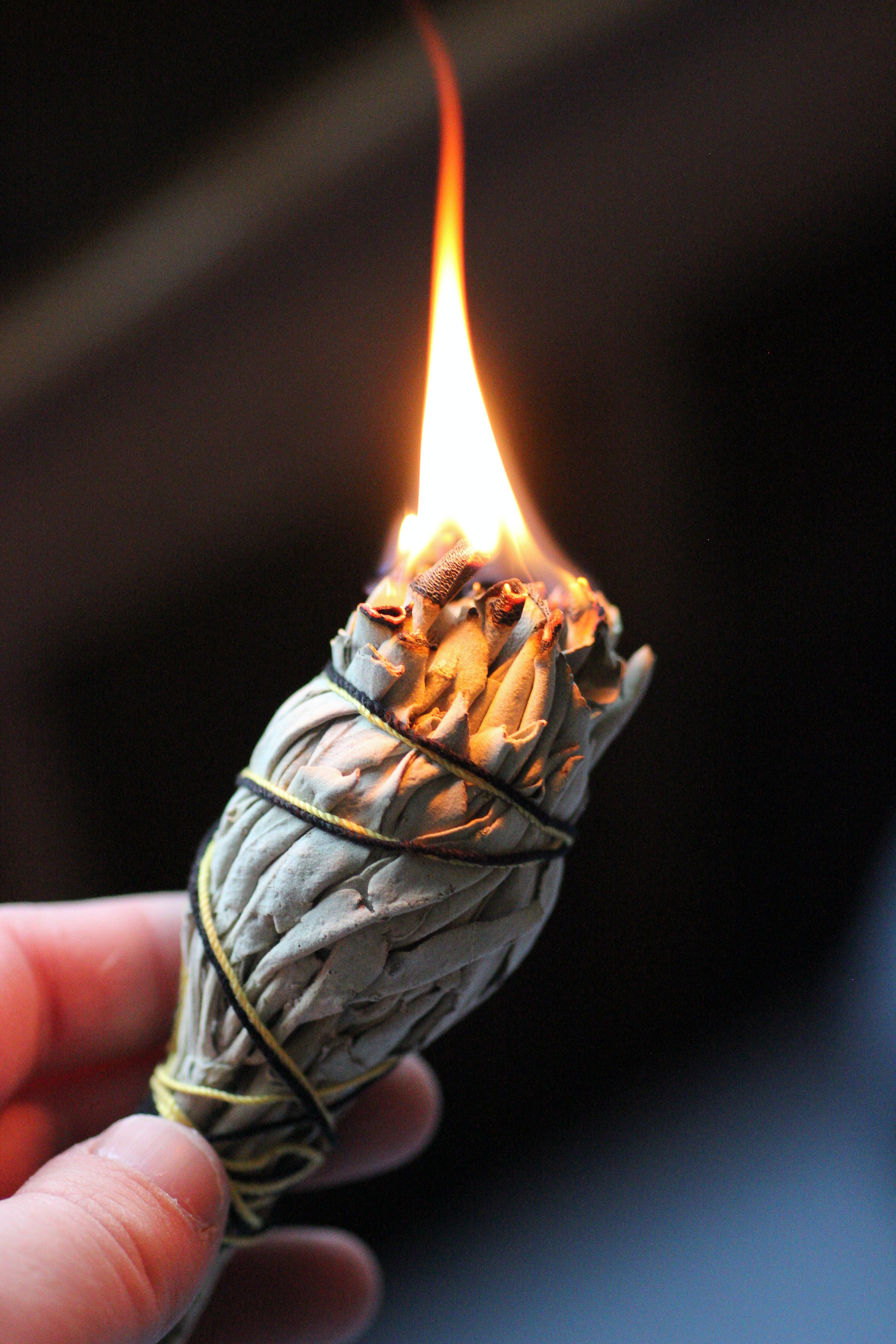 Sage, Mugwort, Sweetgrass & Palo Santo