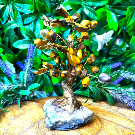 Crystal Bonsai Tree