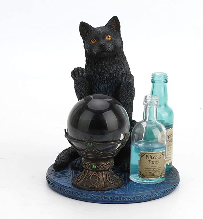Witches Apprentice Cat by Lisa Parker