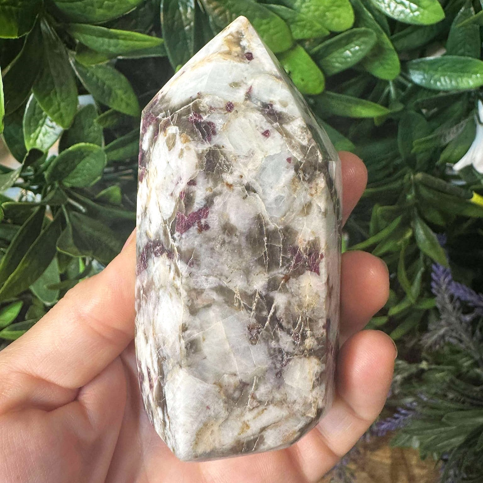 Red Tourmaline (Rubellite) Generator