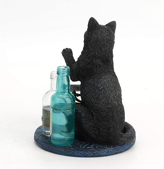 Witches Apprentice Cat by Lisa Parker