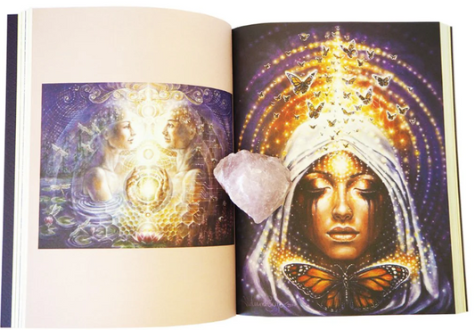 Sacred Rebels Journal