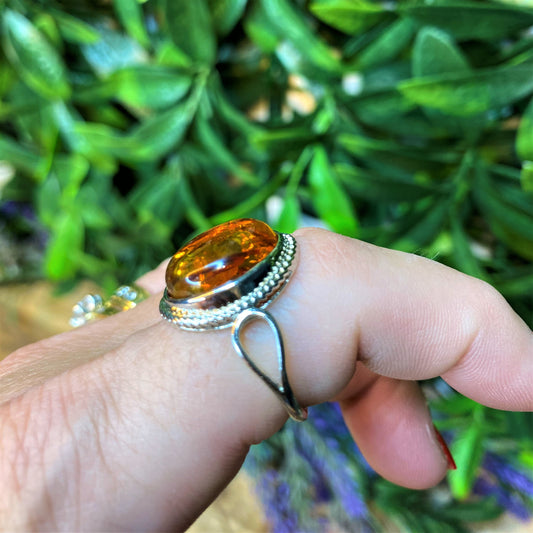 Amber Rings