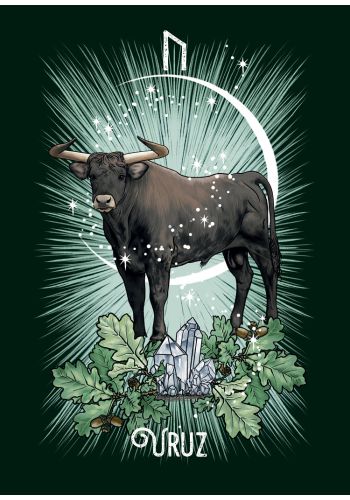 The Witch’s Familiar Runic Oracle ~ Pocket Size