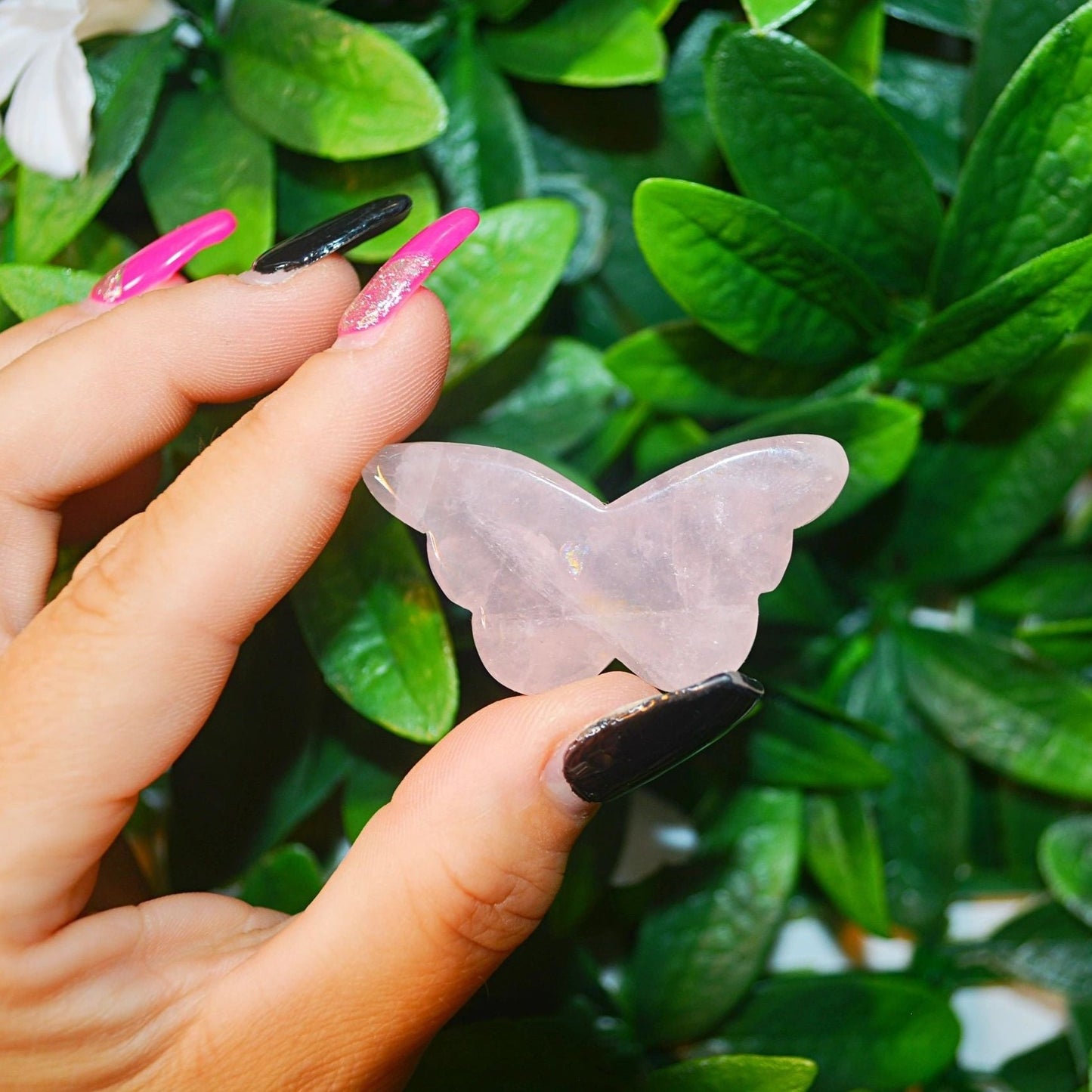 Assorted Crystal Butterflies