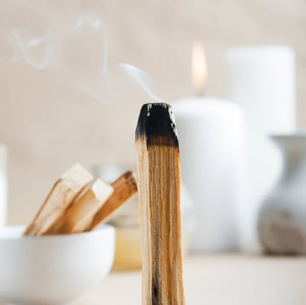 Palo Santo Stick