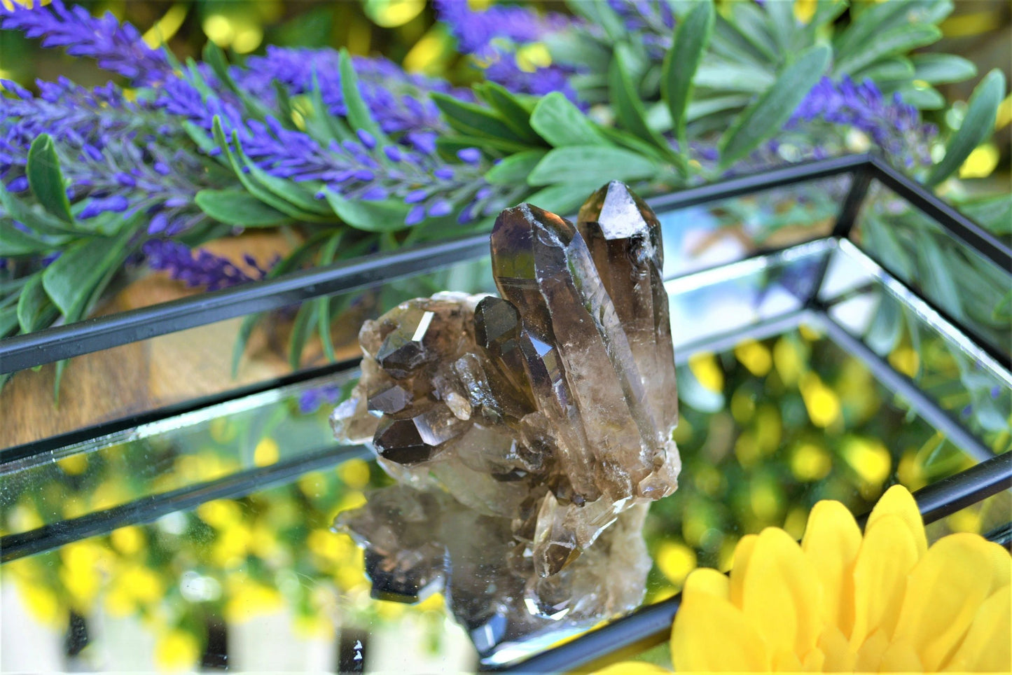 Smoky Quartz Cluster A Grade