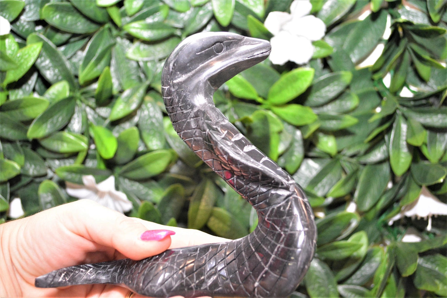 Black Jade Snake