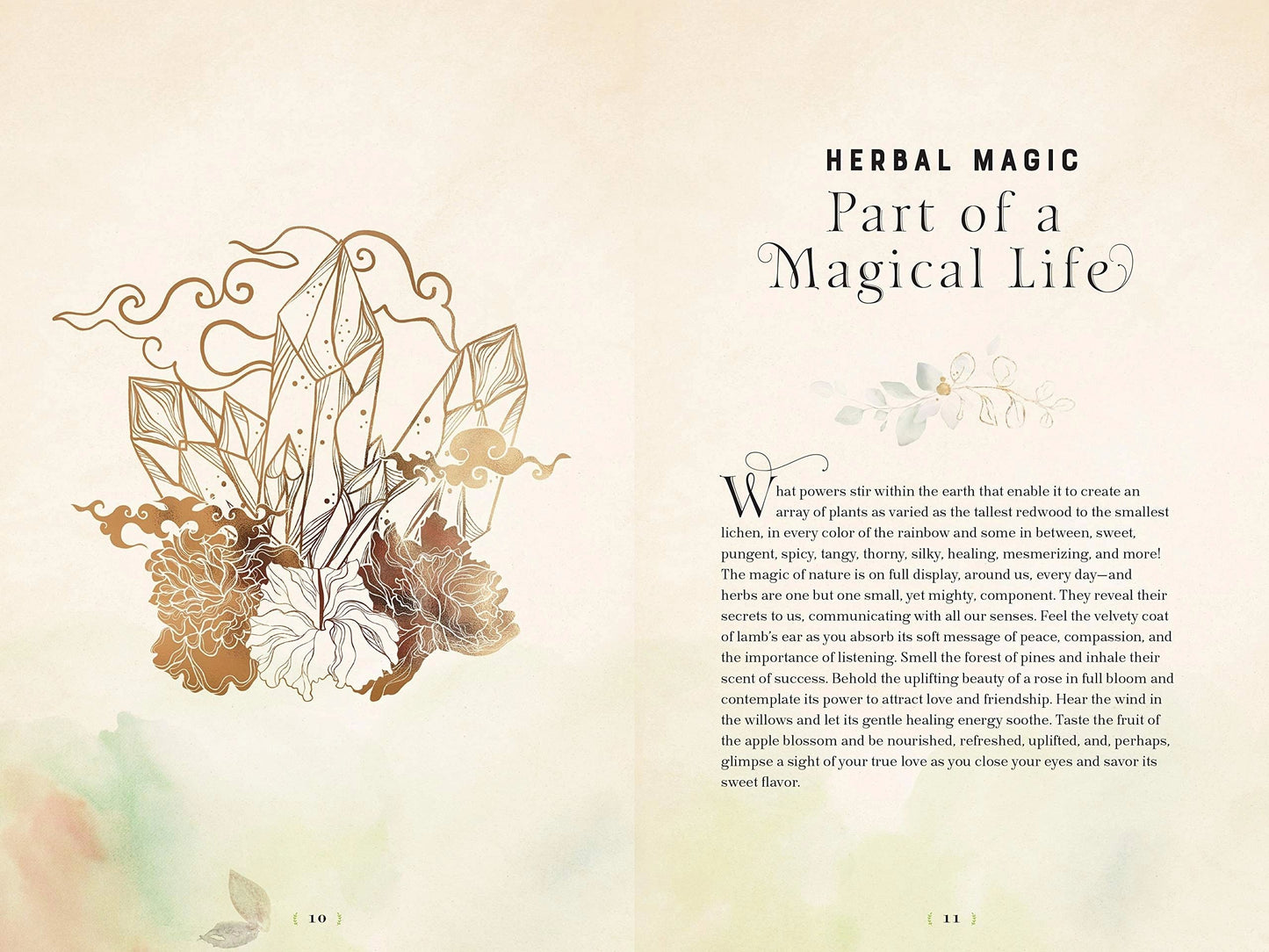 Herbal Magic - A handbook of Natural Spells, Charms & Potions