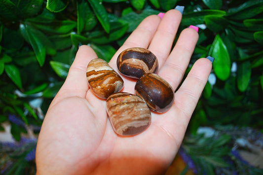 Chocolate Jasper Tumble