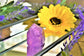 Amethyst Generator A Grade Small (thick)