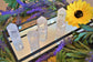 Clear Quartz Generator A Grade