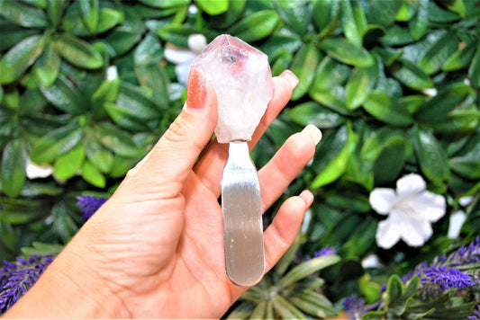 Crystal Dip / Butter Spreader