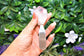 Crystal Dip / Butter Spreader