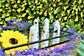 Rainbow Moonstone Generator