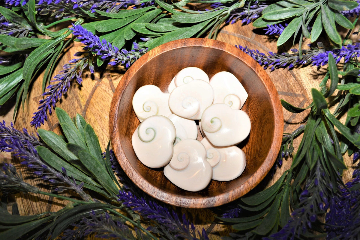 Shiva Eye Shell Heart