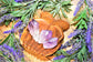 Amethyst Natural Points