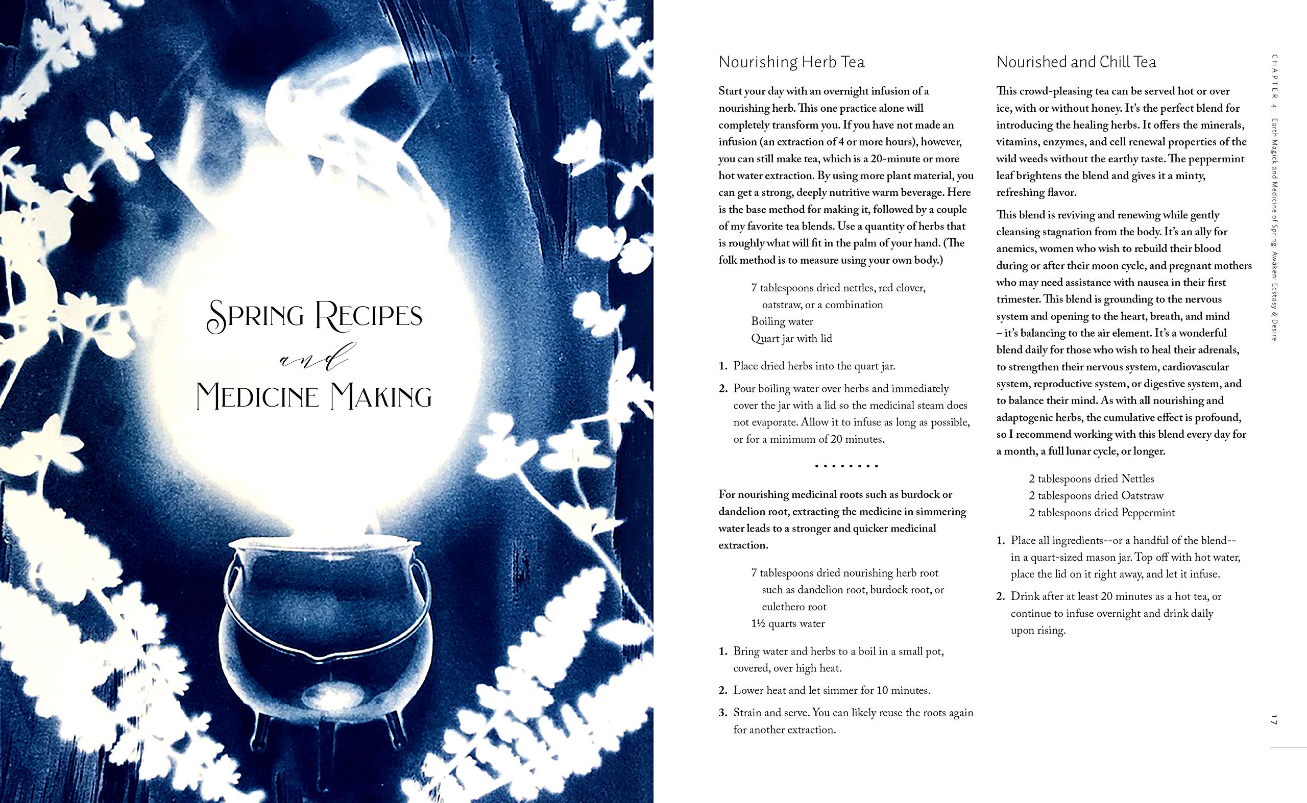 The Witch's Herbal Apothecary Rituals & Recipes for a Year of Earth Magick and Sacred Medicine Making