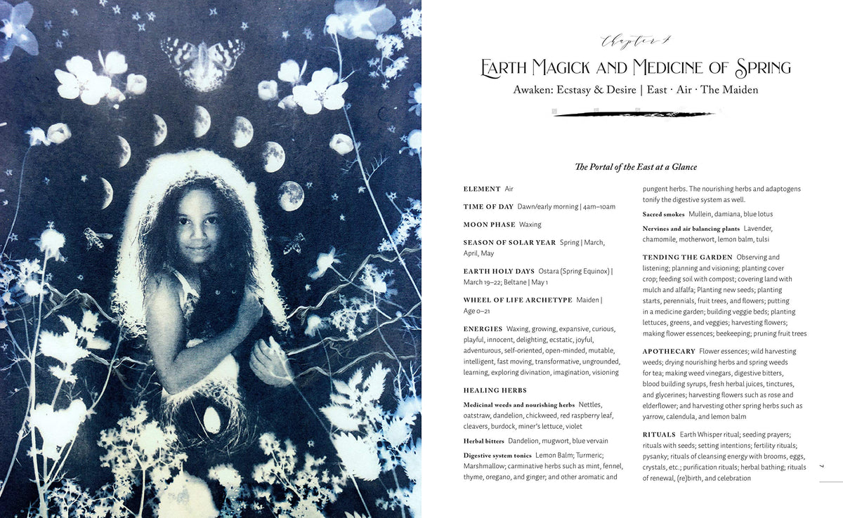 The Witch's Herbal Apothecary Rituals & Recipes for a Year of Earth Magick and Sacred Medicine Making