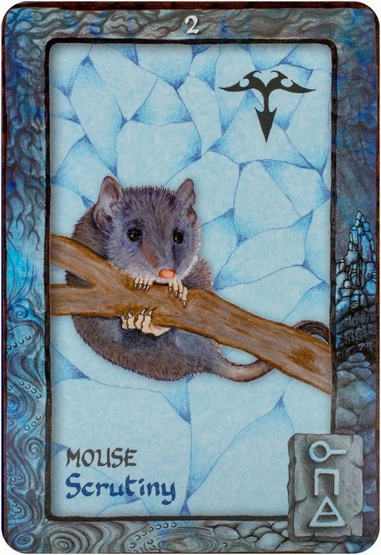 Animal Dreaming Oracle Cards