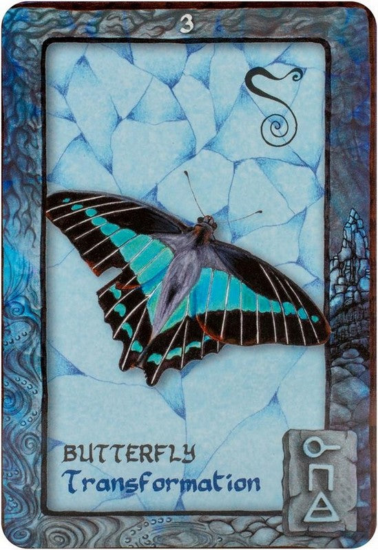 Animal Dreaming Oracle Cards