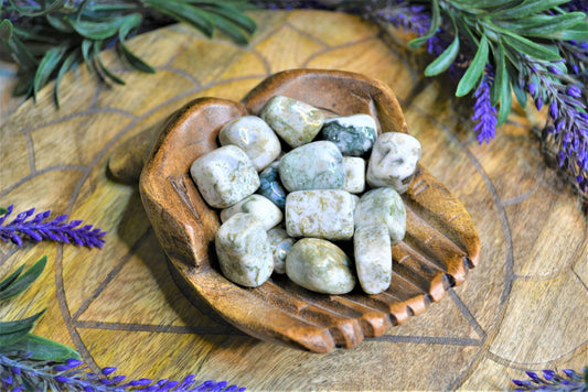 Tree Agate Tumble Medium