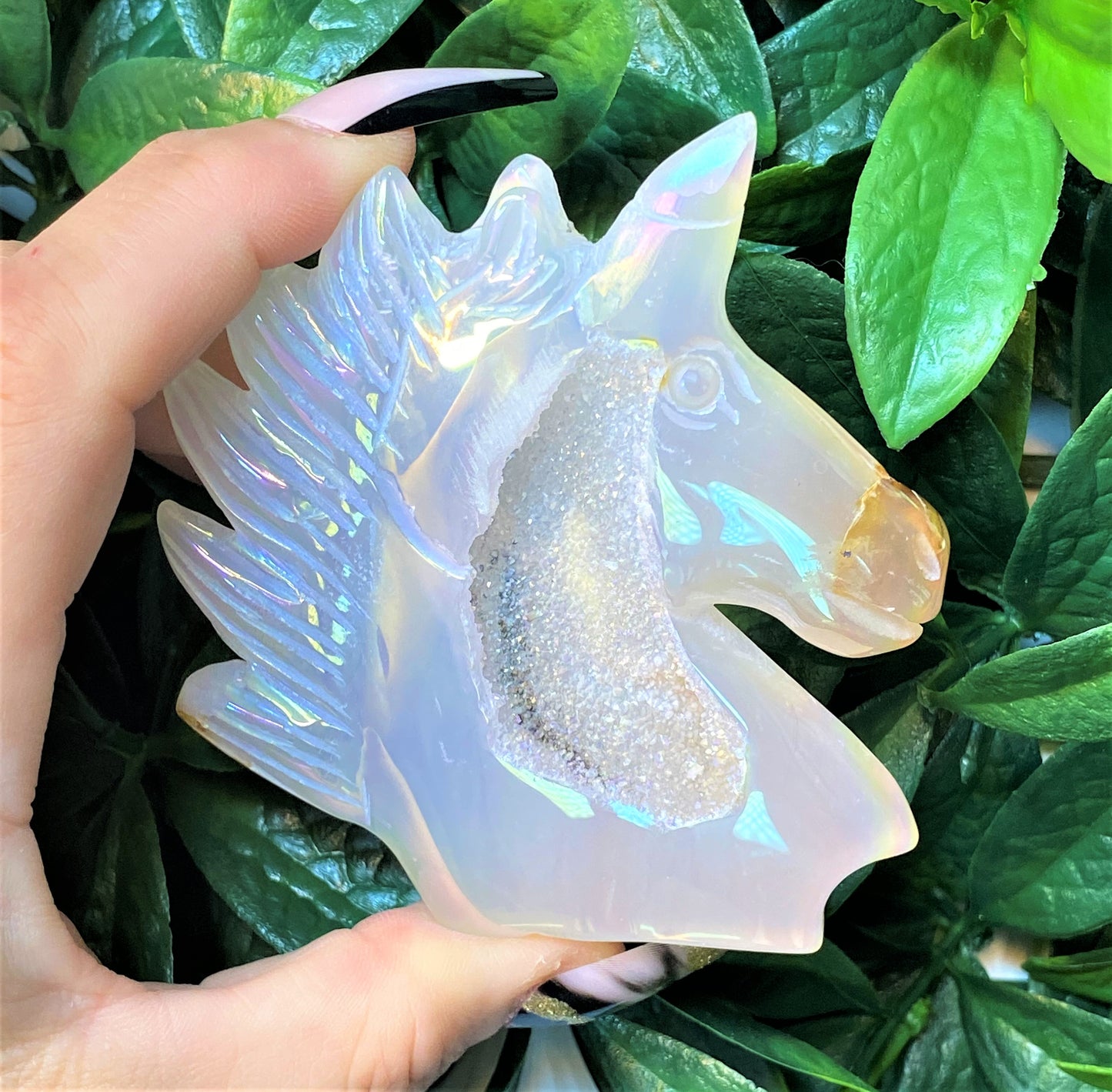Crystal Unicorns - Agate & Angel Aura Quartz